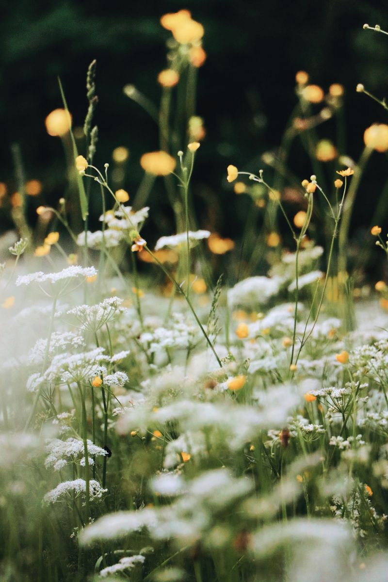 Walk & talk: what are you really good at?